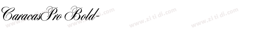 CaracasPro Bold字体转换